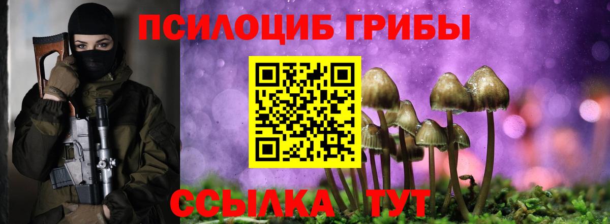 Галлюциногенные грибы Cubensis  Псилоцибиновые грибы прущие грибы  Добрянка  Вход с VPN 